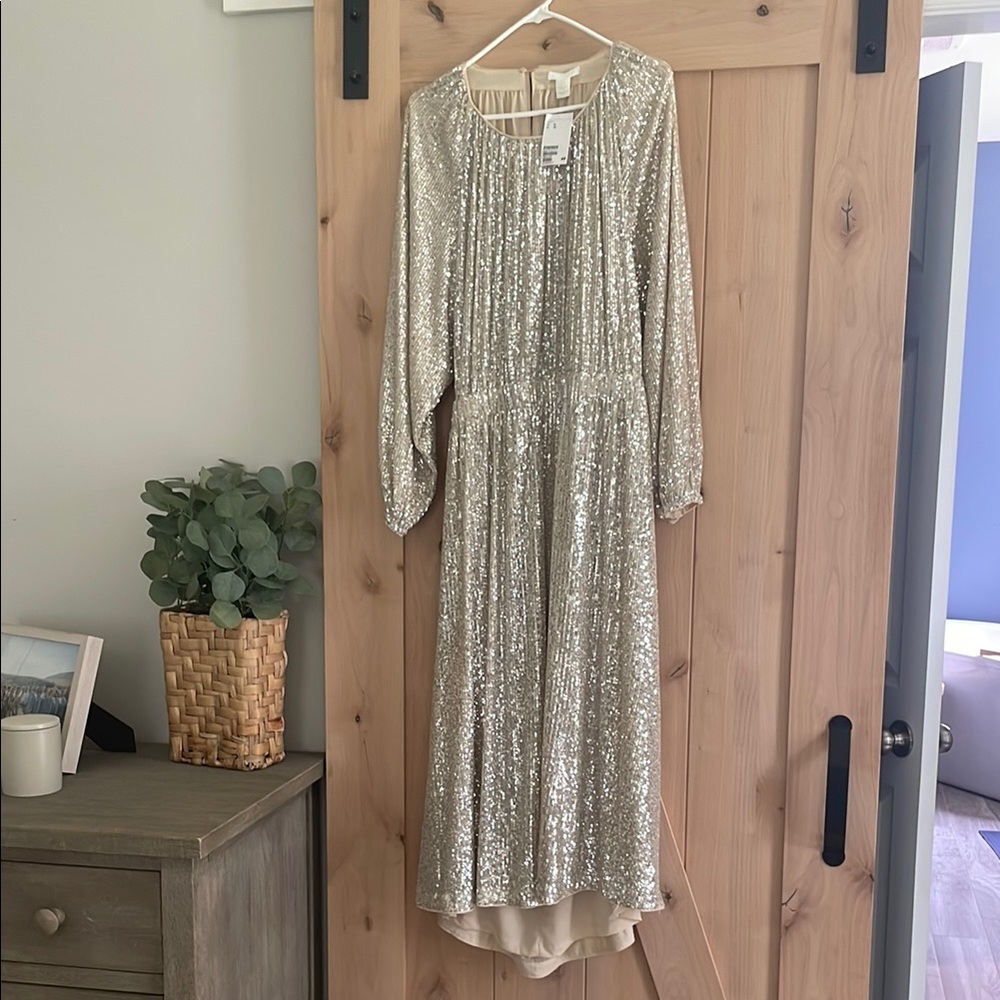 Elegant H&M Silver Sequin Dress